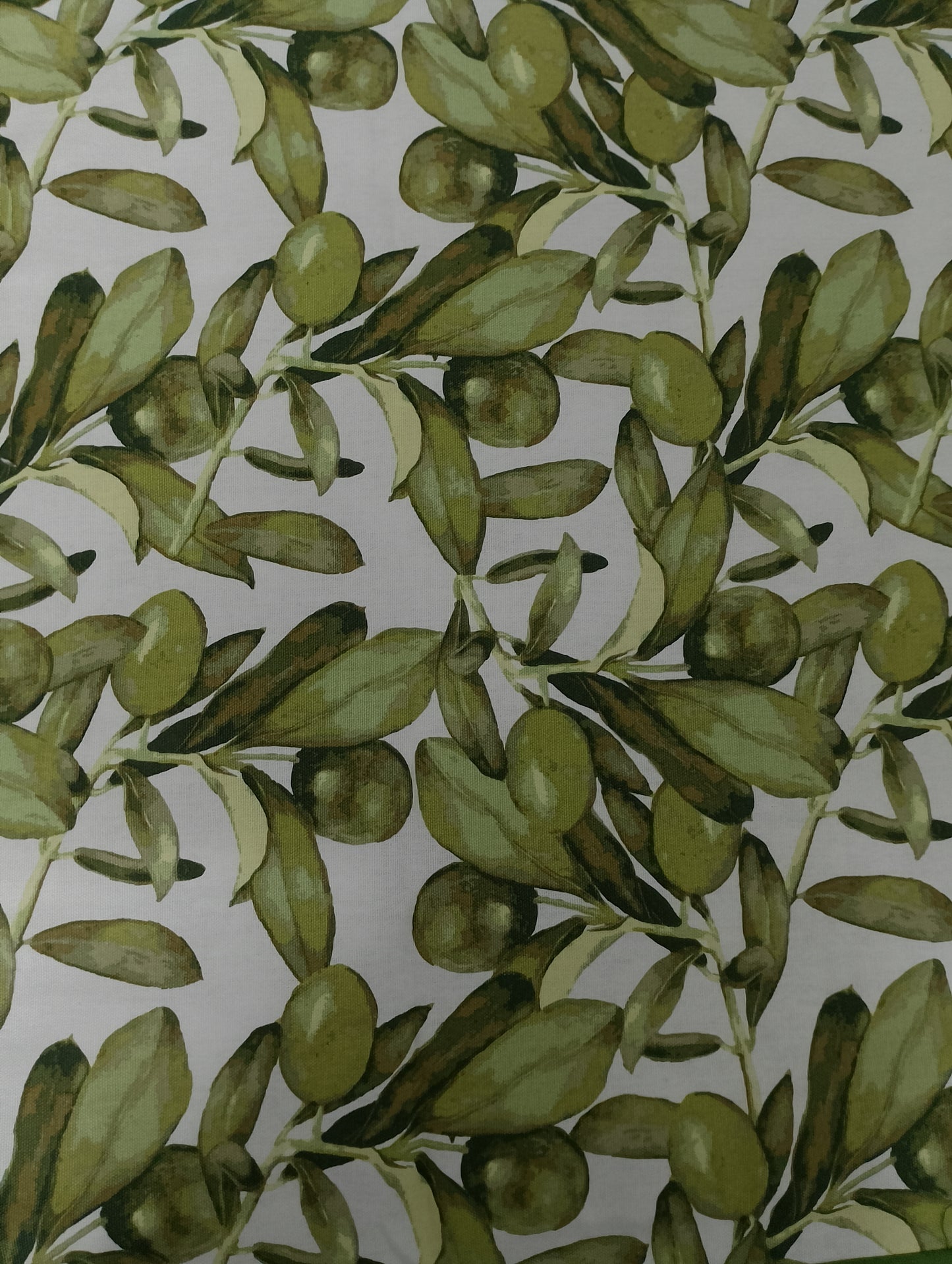 Olive twist border bedsheet- King